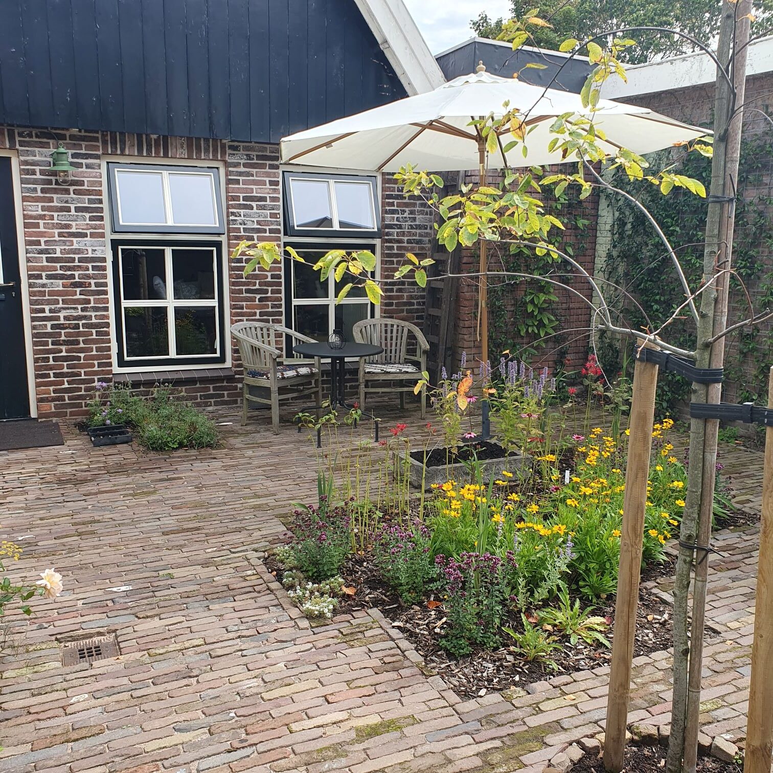 Garden - City Cottage Alkmaar